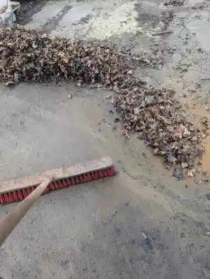 Showroom - Unterhaltsreinigung - Büroreinigung - Gewerbliche Flächen .jpg