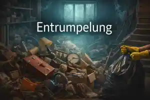 entrumpelung_greiz_Umzug_Entrumpelung_Emanuel_2.jpg