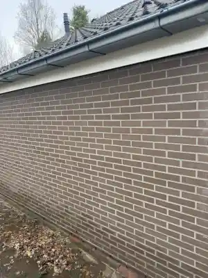 gevel/muur reiniging.jpg