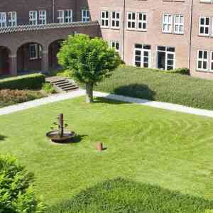 zonwering_naaldwijk_Zon-Comfort_BV_2.jpg