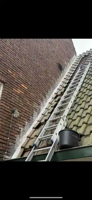 dakdekker_bussum_Veenstra_Totaalonderhoud_3.jpg