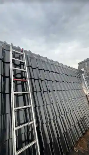 Pannendak & Platdak .jpg