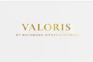 webdesign_zwickau_VALORIS-Auftragsstruktur_2.jpg