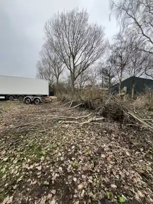 snoeiwerkzaamheden .jpg