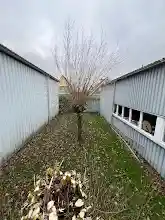 snoeiwerkzaamheden .jpg