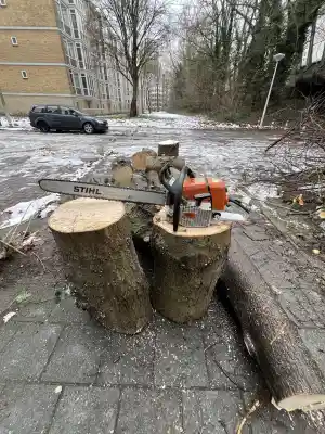 zaagwerk .jpg