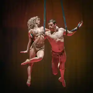 Weihnachtszirkus Premiere für die Heilbronner Stimme Heilbronn.jpg