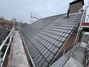 dakdekker_waalwijk_Dakkampioen_Nederland_B.V._5.jpg