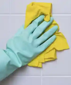 Hajni's Cleaning .jpg