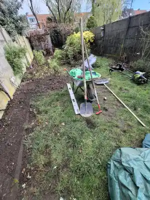tuin in schoten.jpg