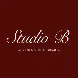 webdesign_hasselt_Studio_B_3.jpg