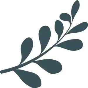 mediator_amsterdam_Samen_in_Relatie_4.jpg