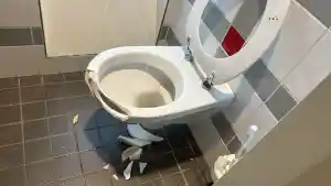 Gebroken pot.jpg