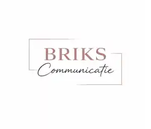 webdesign_arnhem_BRIKS_Communicatie_2.jpg
