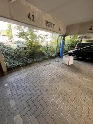 gartner_wolfenb%C3%BCttel_Barth_Haus_&_Hof_-_Hausmeisterservice_&_Objektbetreuung_7.jpg