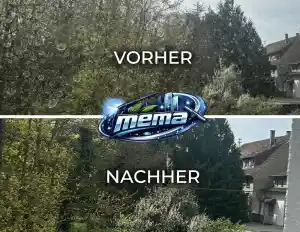 reinigungsfirma_saarbr%C3%BCcken_Mema_Services_6.jpg