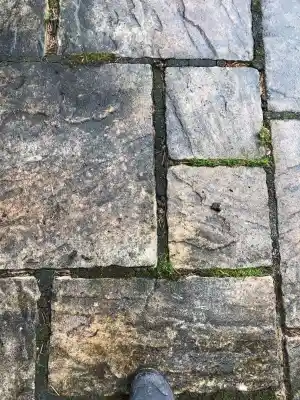 reinigungsfirma_duisburg_Proficleaner_7.jpg