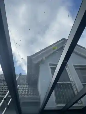 Wintergarten & Vordachreinigung in Erlangen. Kunde war sehr zufrieden!.jpg
