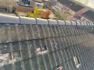 dakgoot_waalwijk_Dak_Elite_B.V._5.jpg