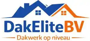 dakgoot_waalwijk_Dak_Elite_B.V._2.jpg