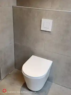 toilet .jpg