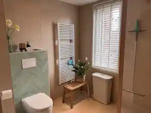 badkamer-renovatie_zuidschermer_Commandeur_Montage_B.V._2.jpg