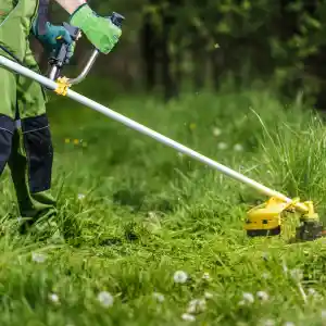 Rasen- und Heckenschnitt.jpg