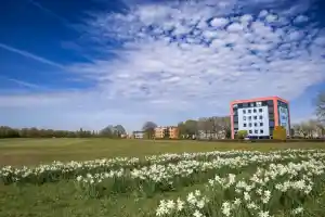 makelaar_amersfoort_Aland_Makelaars_Amersfoort_4.jpg