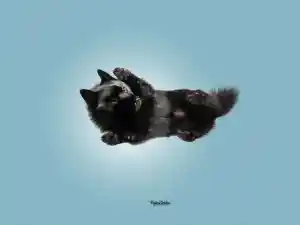 fotograf_hamm_PfotenFaktor_Tierfotografie_5.jpg