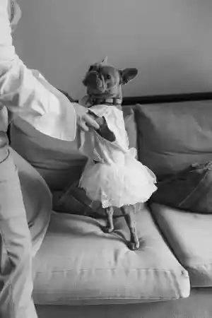 Viktoria & Max.jpg