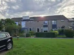 dakdekker_den-bosch_BNS_Dakbeheer_2.jpg