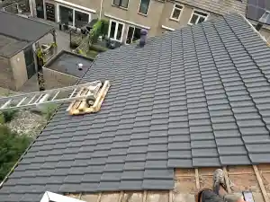 dakdekker_den-bosch_BNS_Dakbeheer_3.jpg