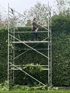 Gjptuinonderhoud .jpg