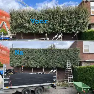 stratenmaker_boxmeer_Gjptuinonderhoud__3.jpg