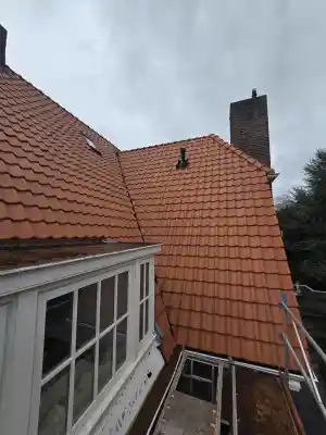 dakdekker_rosmalen_Dakspecialist_de_Zwarte_Duif_6.jpg