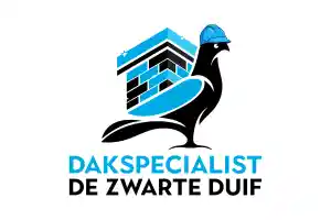 dakdekker_rosmalen_Dakspecialist_de_Zwarte_Duif_2.jpg