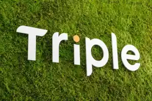 tekstschrijver_waddinxveen_Triple_Interactive_B.V._3.jpg