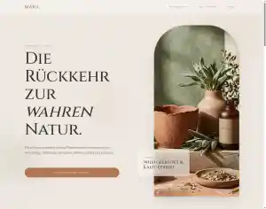 webdesign_hungen_Kandivo_-_Webdesign_4.jpg