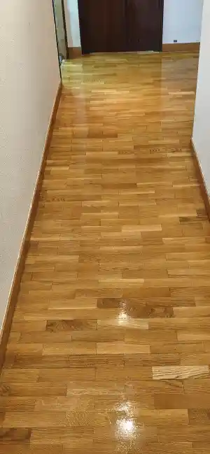 empresa-de-limpieza_avinyo_EYD_LIMPIEZAS_7.jpg