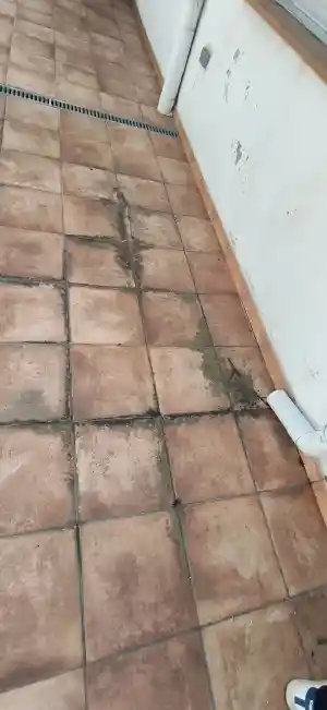 empresa-de-limpieza_avinyo_EYD_LIMPIEZAS_6.jpg