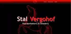 webdesign_wachtebeke_Bloxx-Connect_4.jpg