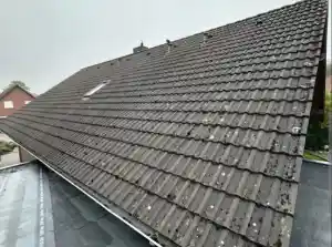 dachdecker_m%C3%BCnchen_Rehm-Instandhaltung-Service_5.jpg