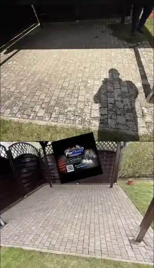 Gereinigt und versiegelt .jpg