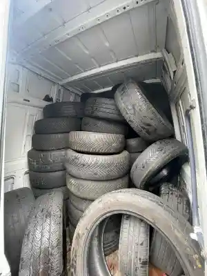 entrumpelung_recklinghausen_Freightoid_UG_(haftungsbeschränkt)_6.jpg