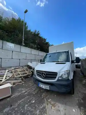 entrumpelung_recklinghausen_Freightoid_UG_(haftungsbeschränkt)_4.jpg