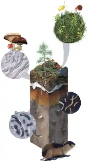 grafisch-ontwerper_de-bilt_Soledad_Cook_5.jpg