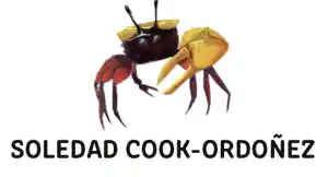 grafisch-ontwerper_de-bilt_Soledad_Cook_2.jpg