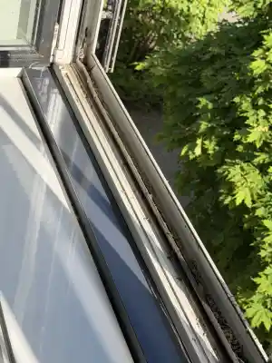 Fenster Reinigung .jpg