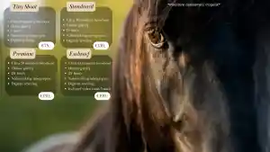 fotograaf_vijfhuizen_de_Waard_Fotografie_3.jpg
