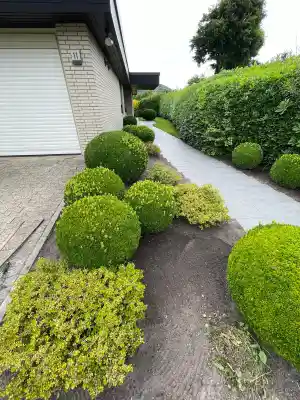 hausmeisterservice_wangerland-hohenkirchen_ASR_Dienstleistung_3.jpg